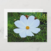 Witte kosmos briefkaart (Voorkant / Achterkant)