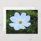 Witte kosmos briefkaart (Voorkant / Achterkant)