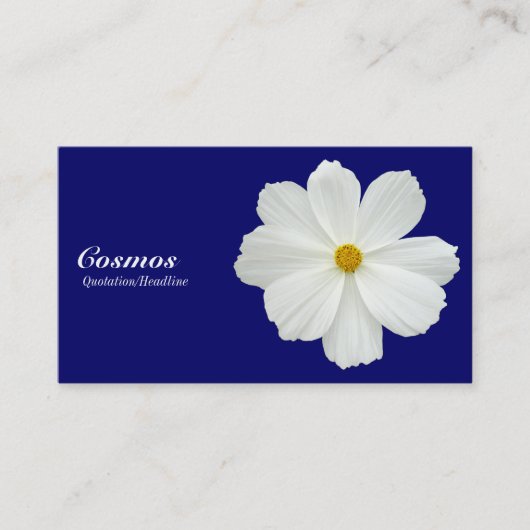 Witte kosmos - Donkerblauw 00066 Visitekaartje (Voorkant)