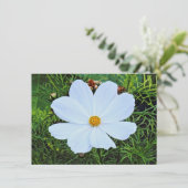 Witte kosmos kaart (Staand voorkant)