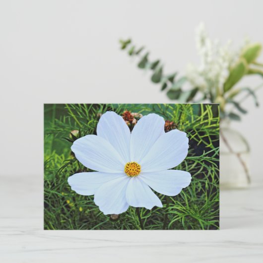 Witte kosmos kaart (Staand voorkant)