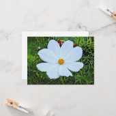 Witte kosmos kaart (Voorkant / Achterkant in situ)