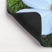 Witte kosmos muismat (Hoek)