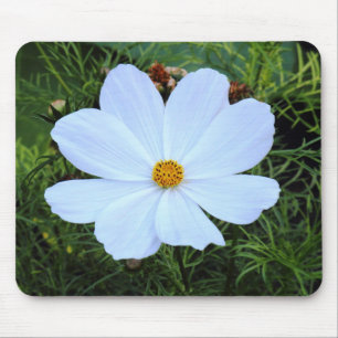 Witte kosmos muismat