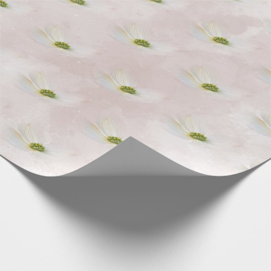 Witte kosmos op zwarte roze cadeaupapier (Hoek)