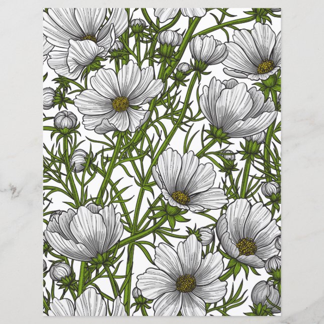 Witte kosmosbloemen (Voorkant)