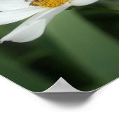 Witte kosmosbloemen en bijen poster (Hoek)