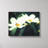 Witte kosmosbloemen met bijen canvas afdruk (Voorkant)