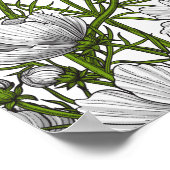 Witte kosmosbloemen poster (Hoek)