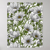Witte kosmosbloemen poster (Voorkant)
