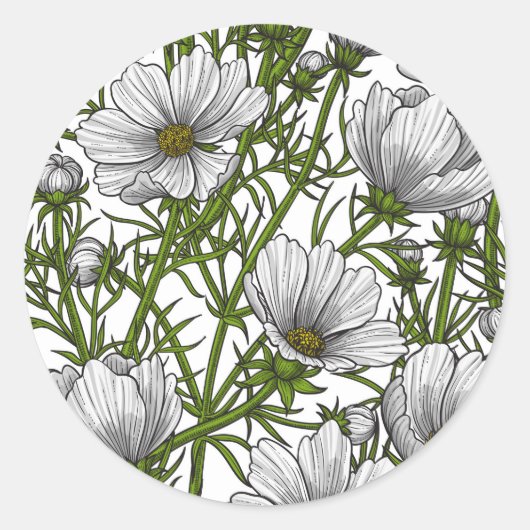 Witte kosmosbloemen ronde sticker (Voorkant)