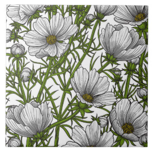 Witte kosmosbloemen tegeltje