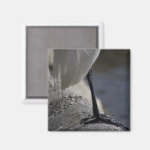 Witte kraan vogel voeten foto magneet (Voorkant / Achterkant)