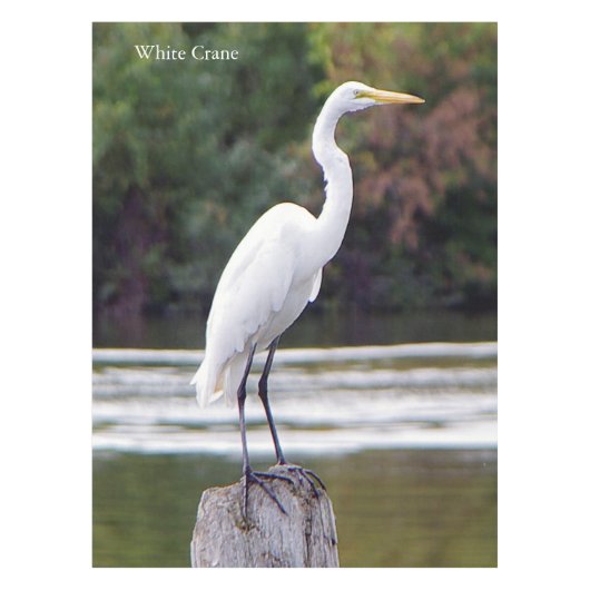 Witte kraanband tafelkleed (Voorkant)