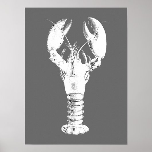 Witte kreeft op grijs / grijs poster (Voorkant)