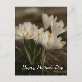 Witte krokus Moederdag Briefkaart