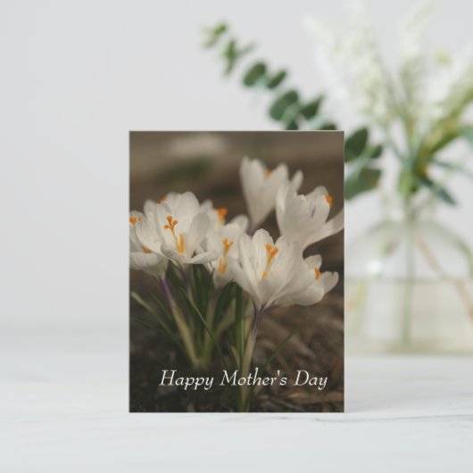 Witte krokus Moederdag Briefkaart (Staand voorkant)
