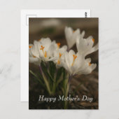 Witte krokus Moederdag Briefkaart (Voorkant / Achterkant)