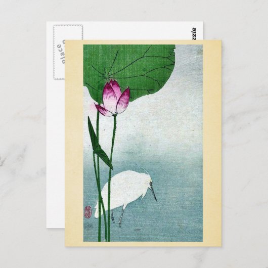 Witte kruid en lotus van Baison, Ukiyoe Briefkaart (Voorkant / Achterkant)