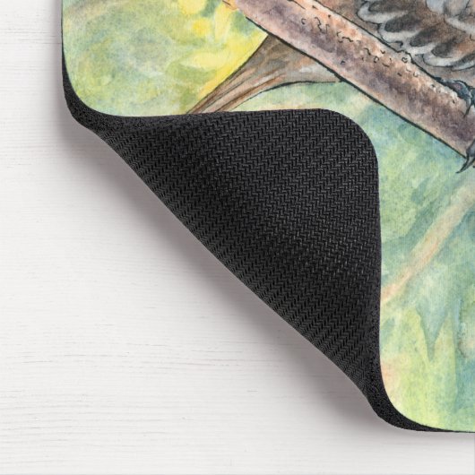 Witte kruid Muismat (Hoek)