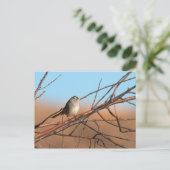 Witte kruid op een stok briefkaart (Staand voorkant)