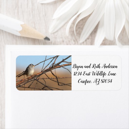 Witte kruid op een stok etiket (Insitu)