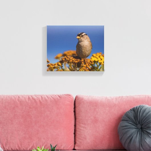 Witte kruipen Sparrow die op de Tansy zit Canvas Afdruk (Insitu (Woonkamer))