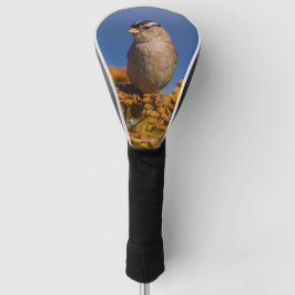 Witte kruipen Sparrow die op de Tansy zit Golfheadcover