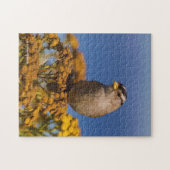 Witte kruipen Sparrow die op de Tansy zit Legpuzzel (Horizontaal)