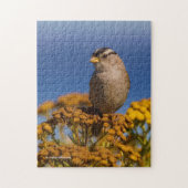 Witte kruipen Sparrow die op de Tansy zit Legpuzzel (Verticaal)
