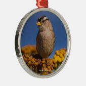 Witte kruipen Sparrow die op de Tansy zit Metalen Ornament (Rechts)