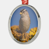 Witte kruipen Sparrow die op de Tansy zit Metalen Ornament (Links)