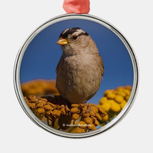 Witte kruipen Sparrow die op de Tansy zit Metalen Ornament (Voorkant)