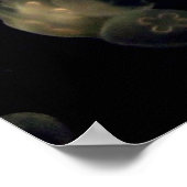 Witte kwallen poster (Hoek)