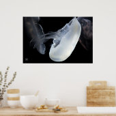 Witte kwallen poster (Keuken)