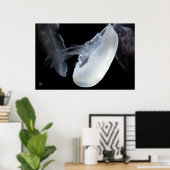 Witte kwallen poster (Thuiskantoor)