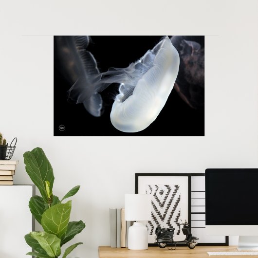 Witte kwallen poster (Thuiskantoor)