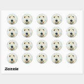 Witte Labradoodle Maggie Stickers (Vel)