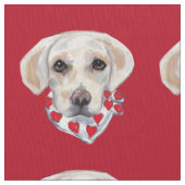 WITTE LABRADOR RETRIEVER STOF (Close Up)