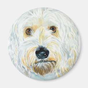 Witte Labrdoodle Maggie Magnet