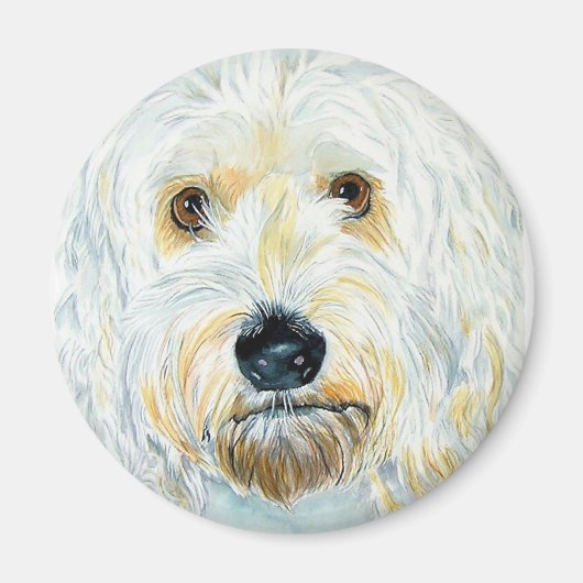 Witte Labrdoodle Maggie Magnet (Voorkant)