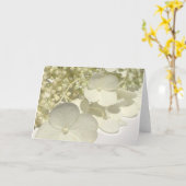 Witte Lacecap Hydrangea Flowers Wenskaart Kaart (Gele Bloem)