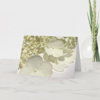 Witte Lacecap Hydrangea Flowers Wenskaart Kaart