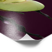 Witte Lady Slipper Orchidee Bloem 8x8 Foto Afdruk (Hoek)