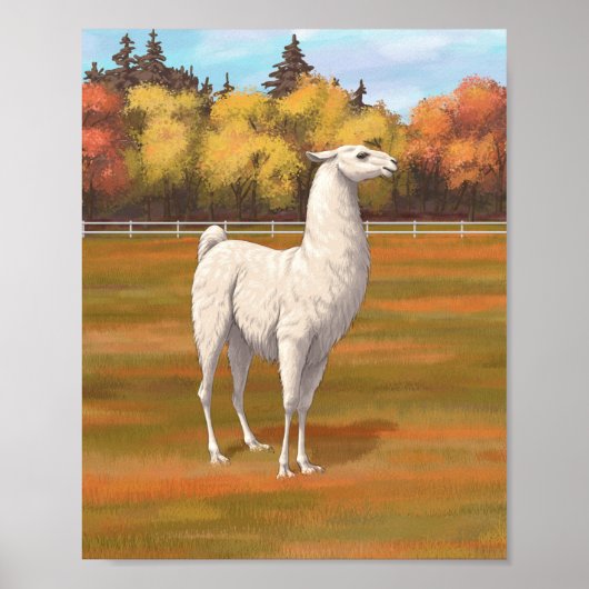 Witte lama in herfst weide op de boerderij poster (Voorkant)