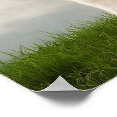 Witte lama met blauwe bril poster (Hoek)