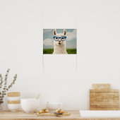 Witte lama met blauwe bril poster (Keuken)