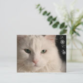 Witte langharige kat briefkaart (Staand voorkant)