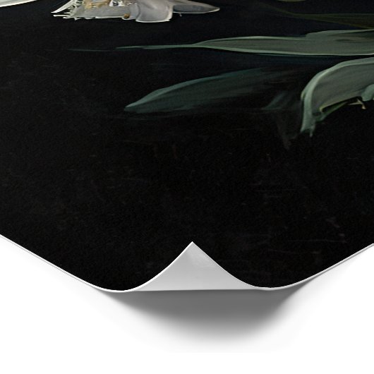 Witte Larkspur Bloemenkunst Print Poster (Hoek)