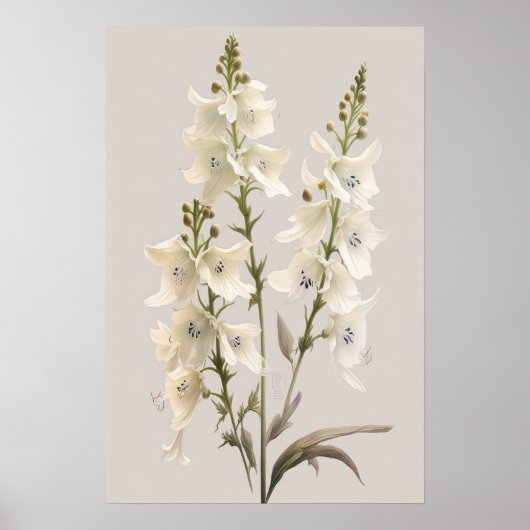 Witte Larkspur Bloemenkunst Print Poster (Voorkant)